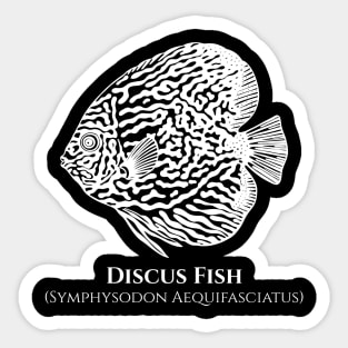 Discus Fish with Common and Latin Names - fish design Sticker